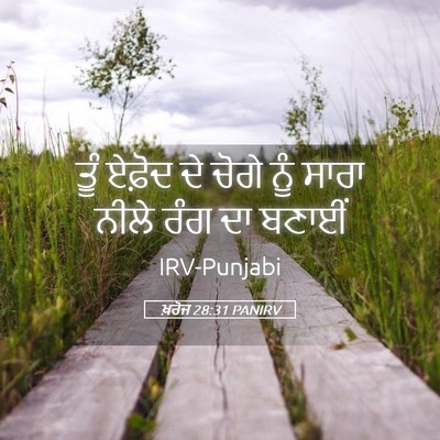 Picture 05 - ਖ਼ਰੋਜ 28:31 PANIRV - ਤੂੰ ਏਫ਼ੋਦ ਦੇ ਚੋਗੇ - Bible Verse Picture