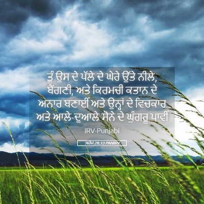 Picture 05 - ਖ਼ਰੋਜ 28:33 PANIRV - ਤੂੰ ਉਸ ਦੇ ਪੱਲੇ ਦੇ - Bible Verse Picture