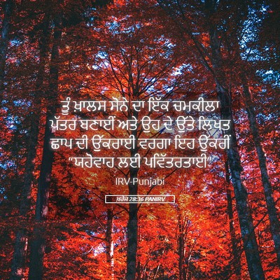 Picture 05 - ਖ਼ਰੋਜ 28:36 PANIRV - ਤੂੰ ਖ਼ਾਲਸ ਸੋਨੇ ਦਾ - Bible Verse Picture