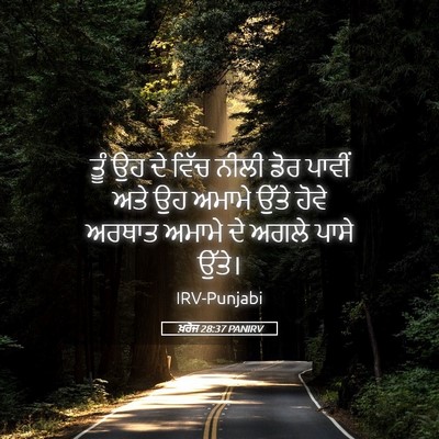 Picture 05 - ਖ਼ਰੋਜ 28:37 PANIRV - ਤੂੰ ਉਹ ਦੇ ਵਿੱਚ ਨੀਲੀ - Bible Verse Picture