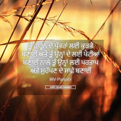 Picture 05 - ਖ਼ਰੋਜ 28:40 PANIRV - ਤੂੰ ਹਾਰੂਨ ਦੇ - Bible Verse Picture