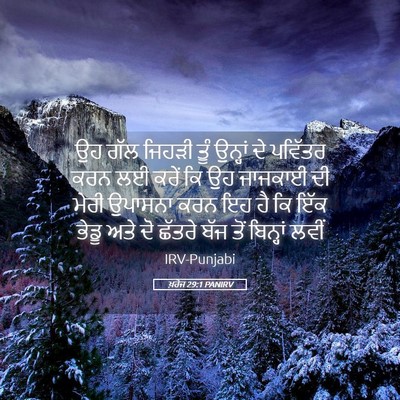 Picture 05 - ਖ਼ਰੋਜ 29:1 PANIRV - ਉਹ ਗੱਲ ਜਿਹੜੀ ਤੂੰ - Bible Verse Picture
