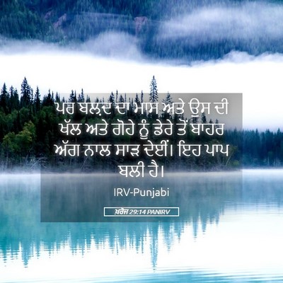 Picture 05 - ਖ਼ਰੋਜ 29:14 PANIRV - ਪਰ ਬਲ਼ਦ ਦਾ ਮਾਸ ਅਤੇ - Bible Verse Picture