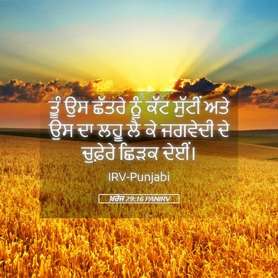 Picture 05 - ਖ਼ਰੋਜ 29:16 PANIRV - ਤੂੰ ਉਸ ਛੱਤਰੇ ਨੂੰ - Bible Verse Picture