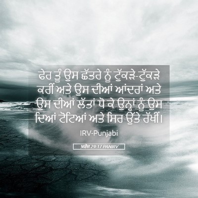 Picture 05 - ਖ਼ਰੋਜ 29:17 PANIRV - ਫੇਰ ਤੂੰ ਉਸ ਛੱਤਰੇ - Bible Verse Picture