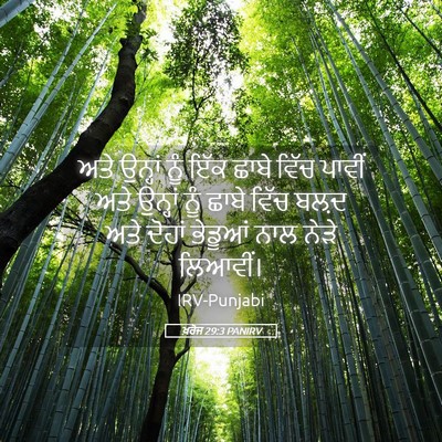 Picture 05 - ਖ਼ਰੋਜ 29:3 PANIRV - ਅਤੇ ਉਨ੍ਹਾਂ ਨੂੰ ਇੱਕ - Bible Verse Picture