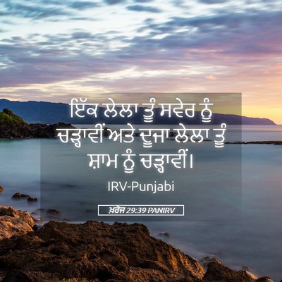 Picture 05 - ਖ਼ਰੋਜ 29:39 PANIRV - ਇੱਕ ਲੇਲਾ ਤੂੰ ਸਵੇਰ - Bible Verse Picture