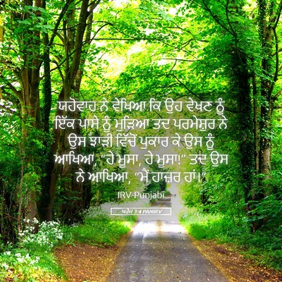 Picture 05 - ਖ਼ਰੋਜ 3:4 PANIRV - ਯਹੋਵਾਹ ਨੇ ਵੇਖਿਆ ਕਿ - Bible Verse Picture