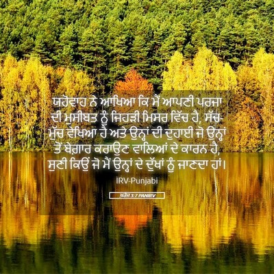 Picture 05 - ਖ਼ਰੋਜ 3:7 PANIRV - ਯਹੋਵਾਹ ਨੇ ਆਖਿਆ ਕਿ - Bible Verse Picture