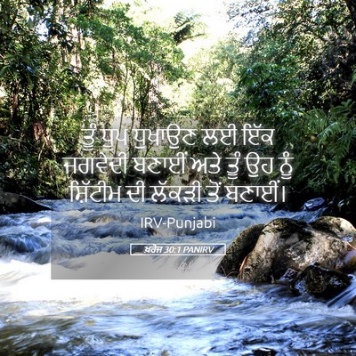 Picture 05 - ਖ਼ਰੋਜ 30:1 PANIRV - ਤੂੰ ਧੂਪ ਧੁਖਾਉਣ ਲਈ - Bible Verse Picture
