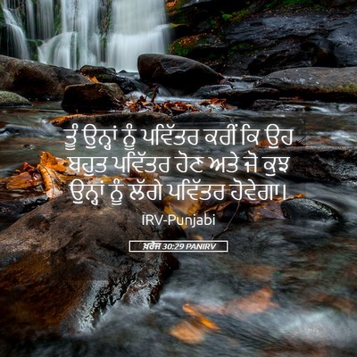 Picture 05 - ਖ਼ਰੋਜ 30:29 PANIRV - ਤੂੰ ਉਨ੍ਹਾਂ ਨੂੰ - Bible Verse Picture