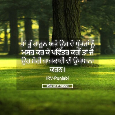 Picture 05 - ਖ਼ਰੋਜ 30:30 PANIRV - ਤਾਂ ਤੂੰ ਹਾਰੂਨ ਅਤੇ - Bible Verse Picture