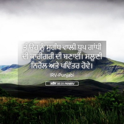 Picture 05 - ਖ਼ਰੋਜ 30:35 PANIRV - ਤੂੰ ਉਹ ਨੂੰ ਸੁਗੰਧ - Bible Verse Picture