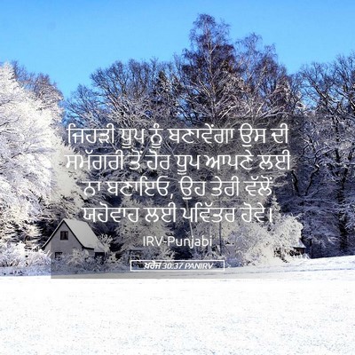 Picture 05 - ਖ਼ਰੋਜ 30:37 PANIRV - ਜਿਹੜੀ ਧੂਪ ਨੂੰ - Bible Verse Picture