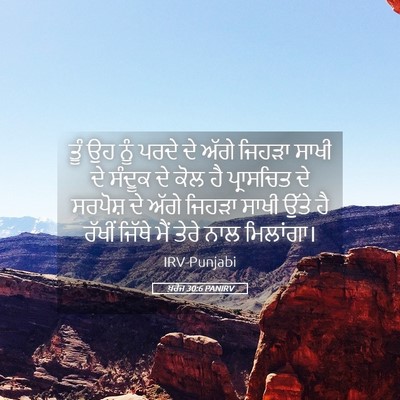Picture 05 - ਖ਼ਰੋਜ 30:6 PANIRV - ਤੂੰ ਉਹ ਨੂੰ ਪਰਦੇ ਦੇ - Bible Verse Picture