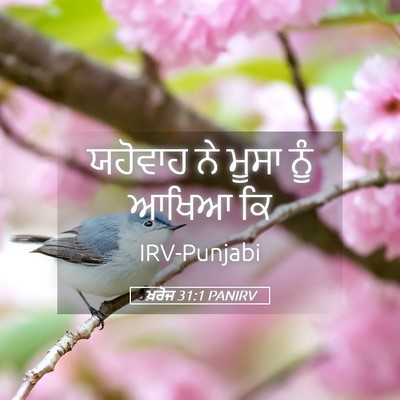 Picture 05 - ਖ਼ਰੋਜ 31:1 PANIRV - ਯਹੋਵਾਹ ਨੇ ਮੂਸਾ ਨੂੰ - Bible Verse Picture
