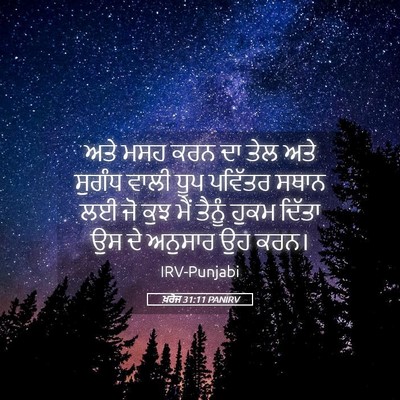 Picture 05 - ਖ਼ਰੋਜ 31:11 PANIRV - ਅਤੇ ਮਸਹ ਕਰਨ ਦਾ ਤੇਲ - Bible Verse Picture