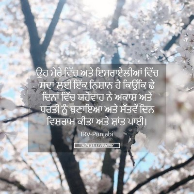 Picture 05 - ਖ਼ਰੋਜ 31:17 PANIRV - ਉਹ ਮੇਰੇ ਵਿੱਚ ਅਤੇ - Bible Verse Picture