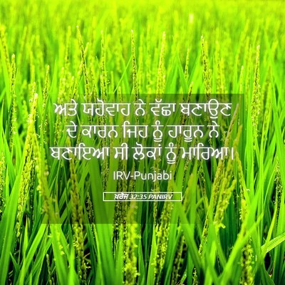 Picture 05 - ਖ਼ਰੋਜ 32:35 PANIRV - ਅਤੇ ਯਹੋਵਾਹ ਨੇ ਵੱਛਾ - Bible Verse Picture