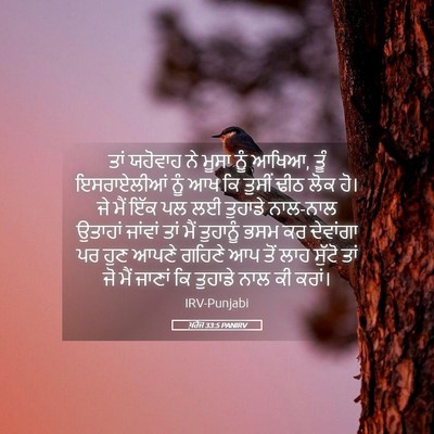 Picture 05 - ਖ਼ਰੋਜ 33:5 PANIRV - ਤਾਂ ਯਹੋਵਾਹ ਨੇ ਮੂਸਾ - Bible Verse Picture