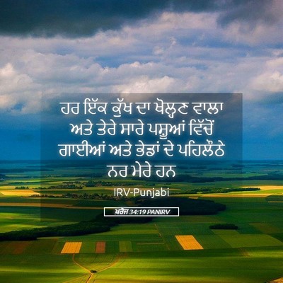 Picture 05 - ਖ਼ਰੋਜ 34:19 PANIRV - ਹਰ ਇੱਕ ਕੁੱਖ ਦਾ - Bible Verse Picture