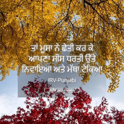 Picture 05 - ਖ਼ਰੋਜ 34:8 PANIRV - ਤਾਂ ਮੂਸਾ ਨੇ ਛੇਤੀ ਕਰ - Bible Verse Picture