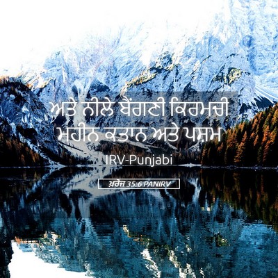 Picture 05 - ਖ਼ਰੋਜ 35:6 PANIRV - ਅਤੇ ਨੀਲੇ ਬੈਂਗਣੀ - Bible Verse Picture