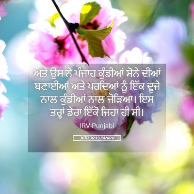 Picture 05 - ਖ਼ਰੋਜ 36:13 PANIRV - ਅਤੇ ਉਸ ਨੇ ਪੰਜਾਹ - Bible Verse Picture