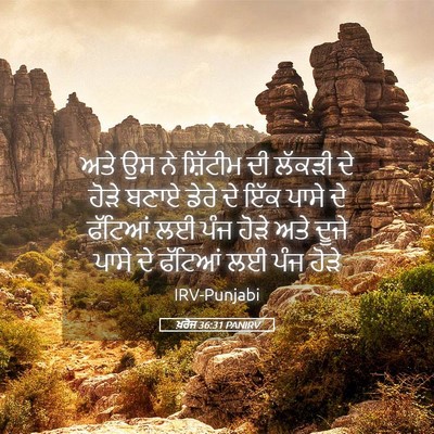 Picture 05 - ਖ਼ਰੋਜ 36:31 PANIRV - ਅਤੇ ਉਸ ਨੇ ਸ਼ਿੱਟੀਮ - Bible Verse Picture
