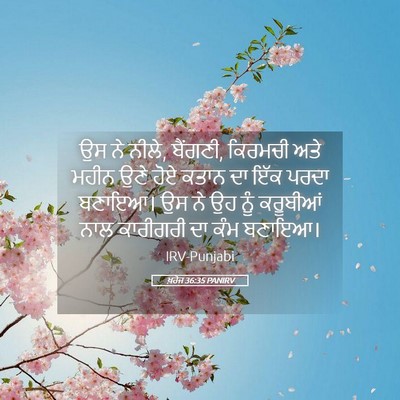 Picture 05 - ਖ਼ਰੋਜ 36:35 PANIRV - ਉਸ ਨੇ ਨੀਲੇ, ਬੈਂਗਣੀ, - Bible Verse Picture