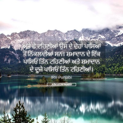 Picture 05 - ਖ਼ਰੋਜ 37:18 PANIRV - ਅਤੇ ਛੇ ਟਹਿਣੀਆਂ ਉਸ - Bible Verse Picture