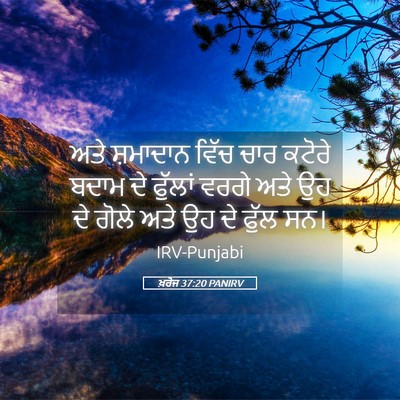 Picture 05 - ਖ਼ਰੋਜ 37:20 PANIRV - ਅਤੇ ਸ਼ਮਾਦਾਨ ਵਿੱਚ - Bible Verse Picture