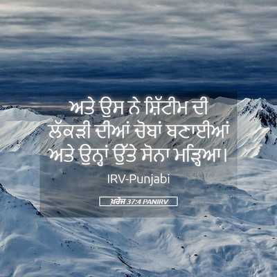 Picture 05 - ਖ਼ਰੋਜ 37:4 PANIRV - ਅਤੇ ਉਸ ਨੇ ਸ਼ਿੱਟੀਮ - Bible Verse Picture