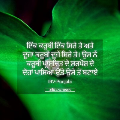 Picture 05 - ਖ਼ਰੋਜ 37:8 PANIRV - ਇੱਕ ਕਰੂਬੀ ਇੱਕ ਸਿਰੇ - Bible Verse Picture