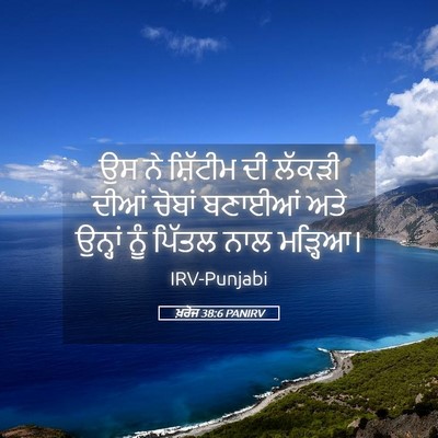 Picture 05 - ਖ਼ਰੋਜ 38:6 PANIRV - ਉਸ ਨੇ ਸ਼ਿੱਟੀਮ ਦੀ - Bible Verse Picture