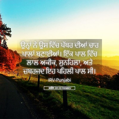 Picture 05 - ਖ਼ਰੋਜ 39:10 PANIRV - ਉਨ੍ਹਾਂ ਨੇ ਉਸ ਵਿੱਚ - Bible Verse Picture