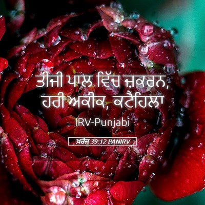 Picture 05 - ਖ਼ਰੋਜ 39:12 PANIRV - ਤੀਜੀ ਪਾਲ ਵਿੱਚ - Bible Verse Picture