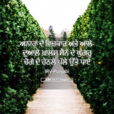 Picture 05 - ਖ਼ਰੋਜ 39:25 PANIRV - ਅਨਾਰਾਂ ਦੇ ਵਿਚਕਾਰ - Bible Verse Picture