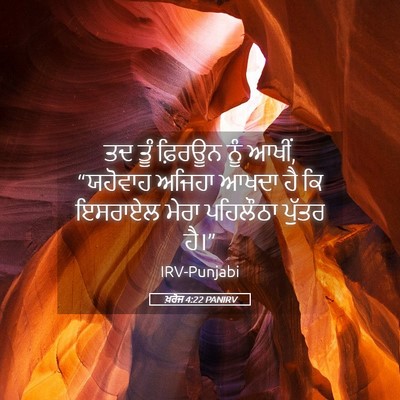 Picture 05 - ਖ਼ਰੋਜ 4:22 PANIRV - ਤਦ ਤੂੰ ਫ਼ਿਰਊਨ ਨੂੰ - Bible Verse Picture