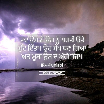 Picture 05 - ਖ਼ਰੋਜ 4:3 PANIRV - ਤਦ ਉਸ ਨੇ ਉਸ ਨੂੰ - Bible Verse Picture