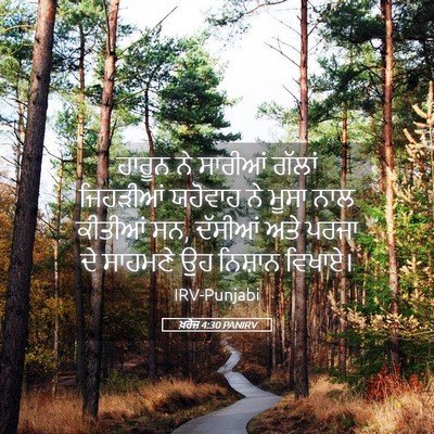 Picture 05 - ਖ਼ਰੋਜ 4:30 PANIRV - ਹਾਰੂਨ ਨੇ ਸਾਰੀਆਂ - Bible Verse Picture