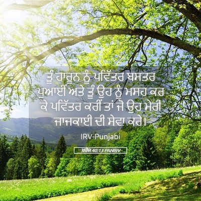 Picture 05 - ਖ਼ਰੋਜ 40:13 PANIRV - ਤੂੰ ਹਾਰੂਨ ਨੂੰ - Bible Verse Picture