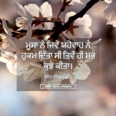 Picture 05 - ਖ਼ਰੋਜ 40:16 PANIRV - ਮੂਸਾ ਨੇ ਜਿਵੇਂ - Bible Verse Picture