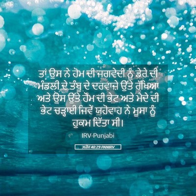 Picture 05 - ਖ਼ਰੋਜ 40:29 PANIRV - ਤਾਂ ਉਸ ਨੇ ਹੋਮ ਦੀ - Bible Verse Picture