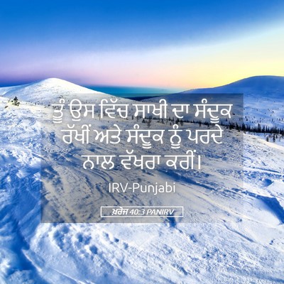 Picture 05 - ਖ਼ਰੋਜ 40:3 PANIRV - ਤੂੰ ਉਸ ਵਿੱਚ ਸਾਖੀ ਦਾ - Bible Verse Picture