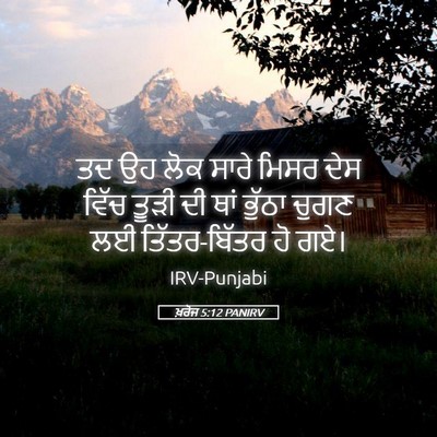 Picture 05 - ਖ਼ਰੋਜ 5:12 PANIRV - ਤਦ ਉਹ ਲੋਕ ਸਾਰੇ ਮਿਸਰ - Bible Verse Picture