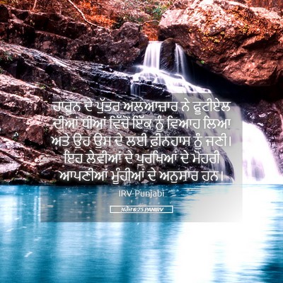 Picture 05 - ਖ਼ਰੋਜ 6:25 PANIRV - ਹਾਰੂਨ ਦੇ ਪੁੱਤਰ - Bible Verse Picture