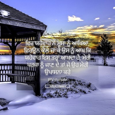 Picture 05 - ਖ਼ਰੋਜ 8:1 PANIRV - ਫਿਰ ਯਹੋਵਾਹ ਨੇ ਮੂਸਾ - Bible Verse Picture