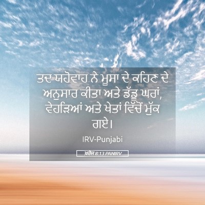 Picture 05 - ਖ਼ਰੋਜ 8:13 PANIRV - ਤਦ ਯਹੋਵਾਹ ਨੇ ਮੂਸਾ - Bible Verse Picture
