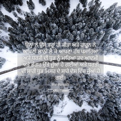 Picture 05 - ਖ਼ਰੋਜ 8:17 PANIRV - ਉਨ੍ਹਾਂ ਨੇ ਉਸੇ - Bible Verse Picture